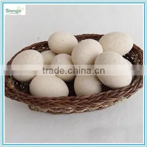 J080654 Artificial Egg thumbnail-1