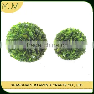 Preservative Boxwood Ball and Preseved Ball Topairy for America Markets thumbnail-1
