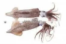 морепродукты thumbnail-1