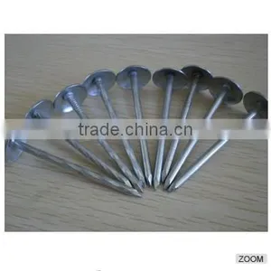 Galvanized Roofing Nails With Umbreall Head thumbnail-1