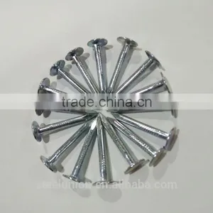 BIG FLAT HEAD CLOUT NAILS thumbnail-4