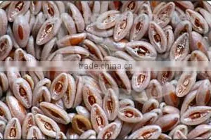 Psyllium Seeds thumbnail-1