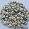 Wasabi Flavor Coated Three Mixed Beans thumbnail-1