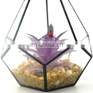 Geometric Glass Terrarium Wholesale Terrarium Glass thumbnail-3