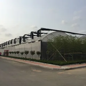 200micron Anti-UV Plastic Film Greenhouse for Agriculture thumbnail-3
