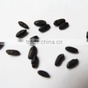 Steamed/roasted Black Rice (organic or Common) thumbnail-1
