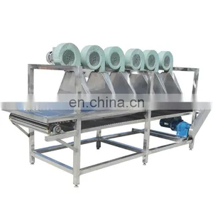 304 Stainless Steel Small Fruits and Vegetable Washing Sorting Machine thumbnail-4