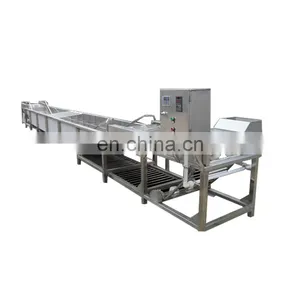 Heavy Duty Industrial Stainless Steel Vegetable Blanching Machine/Fruit Blanching Machine thumbnail-5
