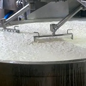 Cream Cheese Soft Cheese Making Machine thumbnail-5