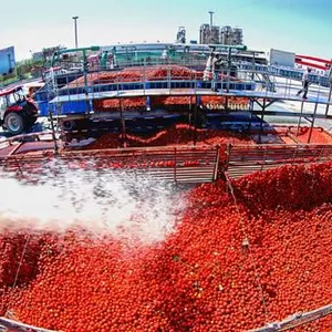 Big Capacity Hot Selling Tomato Sauce Production Line Tomato Sauce Processing Machinery thumbnail-6