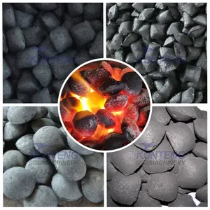 Professional Dolomite Limestone Shale Powder Charcoal Powder Ball Press Machine EPC thumbnail-3
