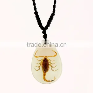 2016 Hot-selling Novel Gifts Resin Necklace With Real Insect thumbnail-3