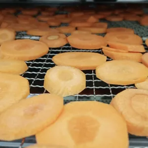 Industrial Food Drying & Baking Mesh Conveyor for Oil/Water Drainage, IP65 Waterproof Motor thumbnail-1