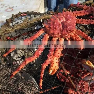 King Crab Live/Frozen thumbnail-1