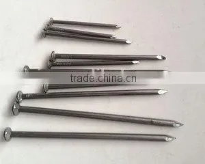 Nails thumbnail-1