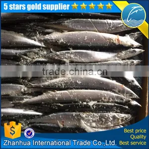 Frozen Pacific Saury Canned thumbnail-1