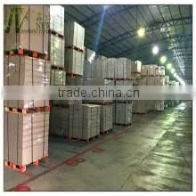 Dongguan New Bamboo Paper Co., Ltd. company overview - view 3 thumbnail
