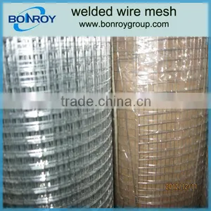 Welded Wire Mesh Aviary Mesh thumbnail-1