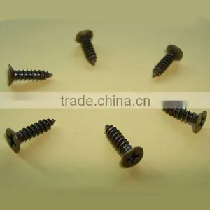 Philips Self-tapping Screw thumbnail-1