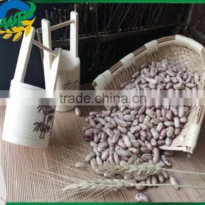 Chinese Light Speckled Kidney Beans Long Shape for Europ thumbnail-1