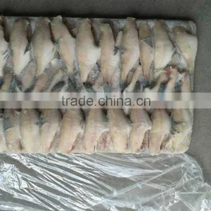 Frozen Leather Jacket Fish thumbnail-4