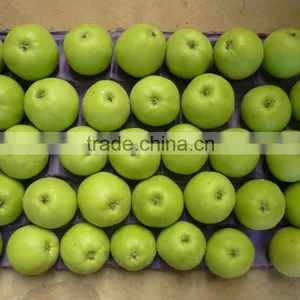 2015 China Green Apple Gala thumbnail-5