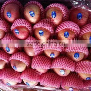 2015 Shandong FUJI APPLE thumbnail-3