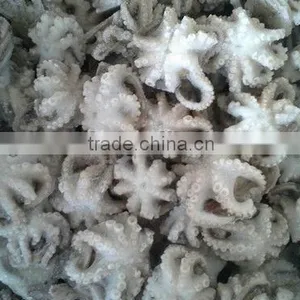 Frozen Baby Octopus 20-60g thumbnail-1
