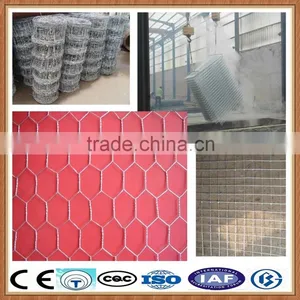 Cheap Hexagonal Iron Wire Mesh/ Crimped Wire Mesh thumbnail-1