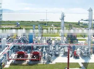 LNG Plants and Natural Gas Treatment thumbnail-2