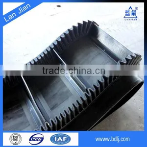 Vertical Conveyor Belt Vulcanizing Conveyor Belt thumbnail-3