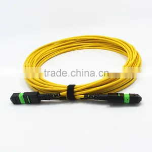 High Quality SM MTP 12 Cores Patch Cord From Factory thumbnail-6