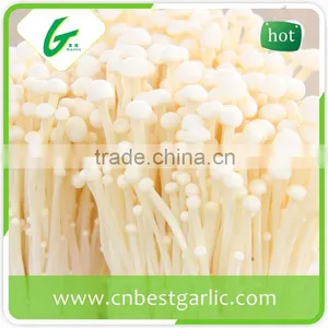 Boiled Fresh Enoki Mushroom thumbnail-1