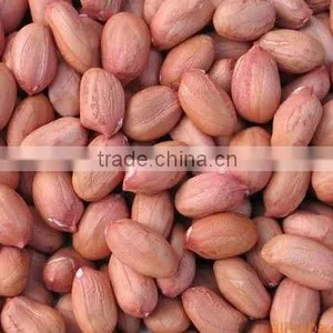 Peanut Kernel Long Type(35/40 and 50/60) From China thumbnail-1