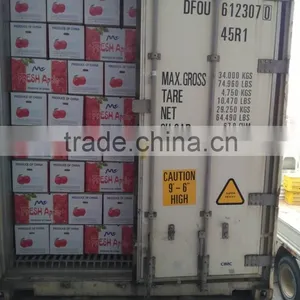 Common Cultivation Type and Pome Fruit Product Type Fresh Apple Fruit for Sale thumbnail-3
