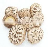 Shiitake Mushroom thumbnail-1