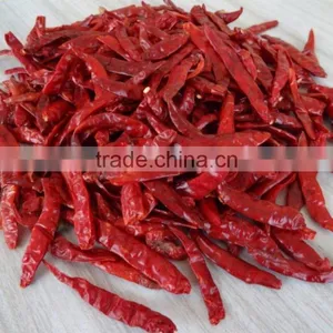 Premium Quality Indian Dry Red Chilli Exporters thumbnail-3