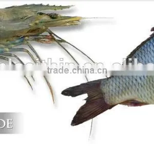 Shrimp Feed Additives Fish Feed Additives thumbnail-1