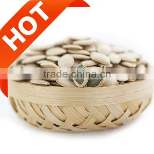 Wholesale RAW Pumpkin Seeds Ton Price thumbnail-1