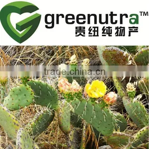 GMP Manufacturer Supply Cactus Extract thumbnail-1