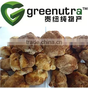 Hericium Erinaceus Mushroom Extract thumbnail-1