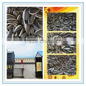 Lowest Factory Price Sunflower Seeds for Sale thumbnail-1