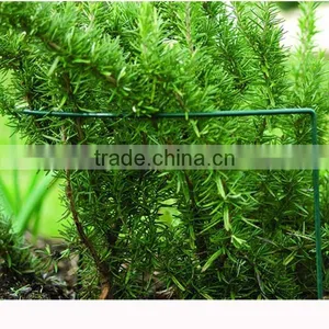 Grow Grid Link Cradle Wire Climbing Decorative Support Cradle thumbnail-2