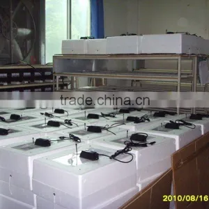 Cheap and Fine Egg Incubator 48 Eggs Whit CE thumbnail-2