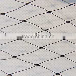 Pp/pe Anti-bird Net for Catching Small Bird thumbnail-2