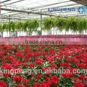 Greenhouse for Growing Flowers thumbnail-3