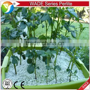 Soil Additive Perlite for House Plants and Garden thumbnail-1