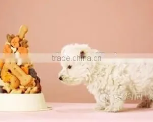 Twin Screw Extruder for Dog Food thumbnail-2