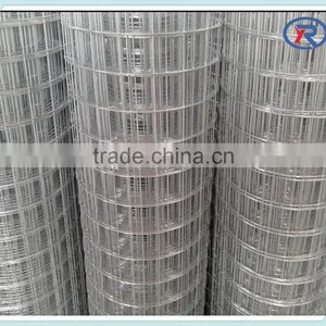 Galvanized Welded Wire Mesh Used Livestock Panels thumbnail-3