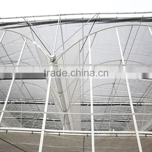 Agriculture Plastic Large Multi Span Commercial Greenhouse for Sale thumbnail-2